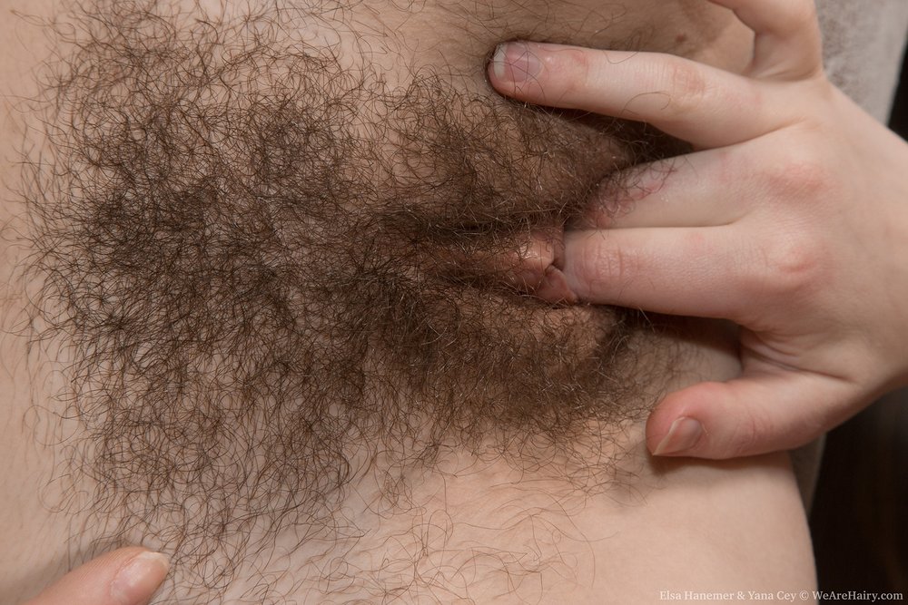 Pinterest Hairy Woman on 13200