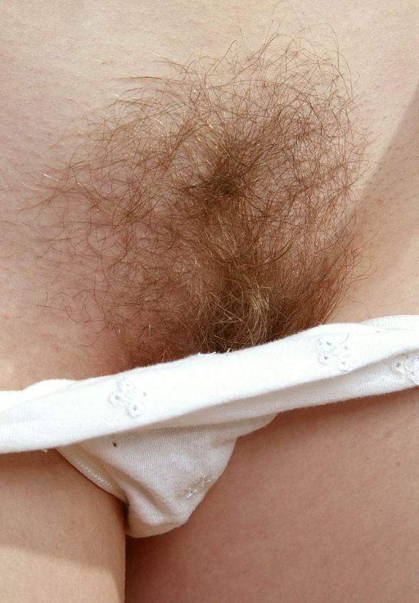 Pinterest Hairy Woman on 10043