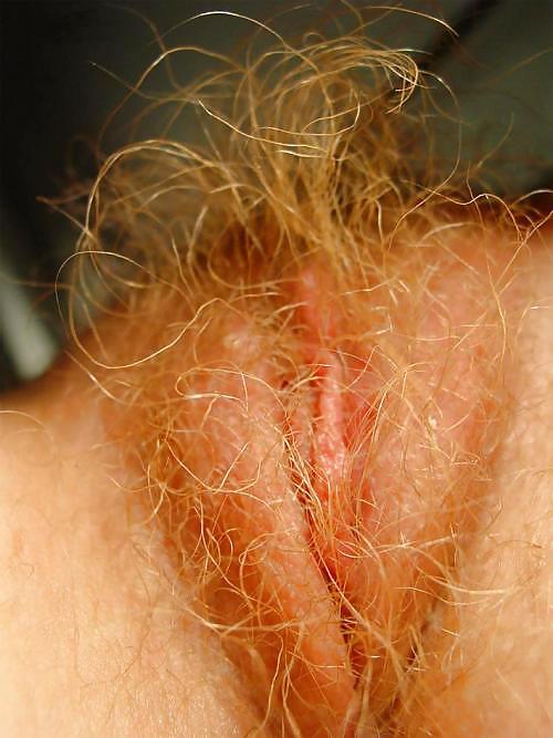 Pinterest Hairy Woman on 6948