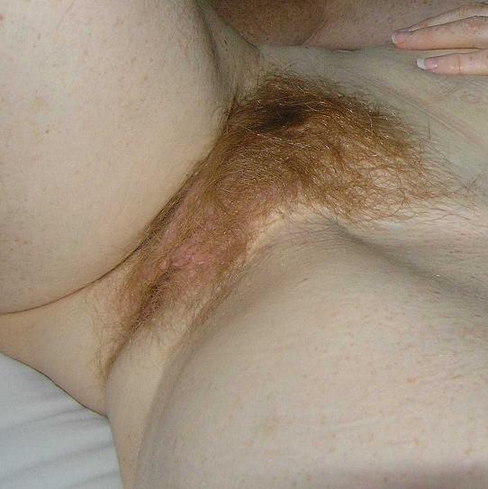 Pinterest Hairy Woman on 13318