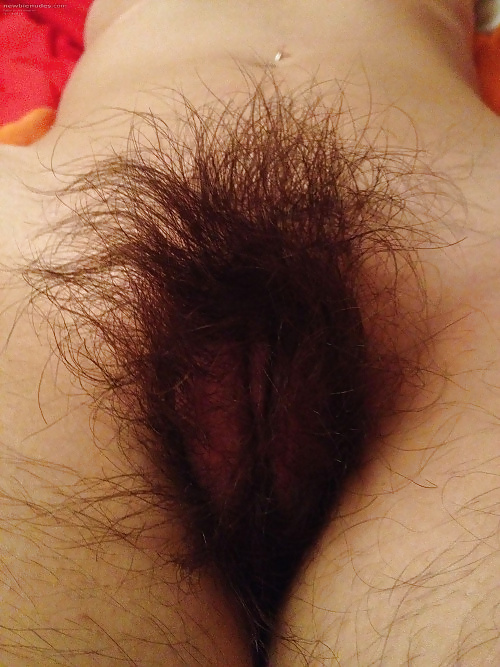 Pinterest Hairy Woman on 2159