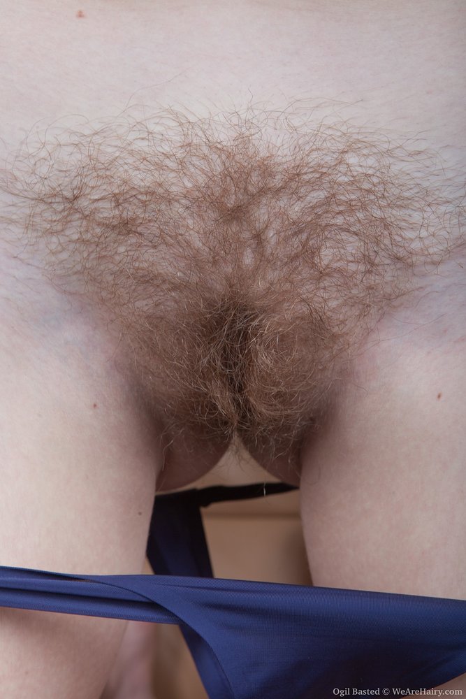 Pinterest Hairy Woman on 4636