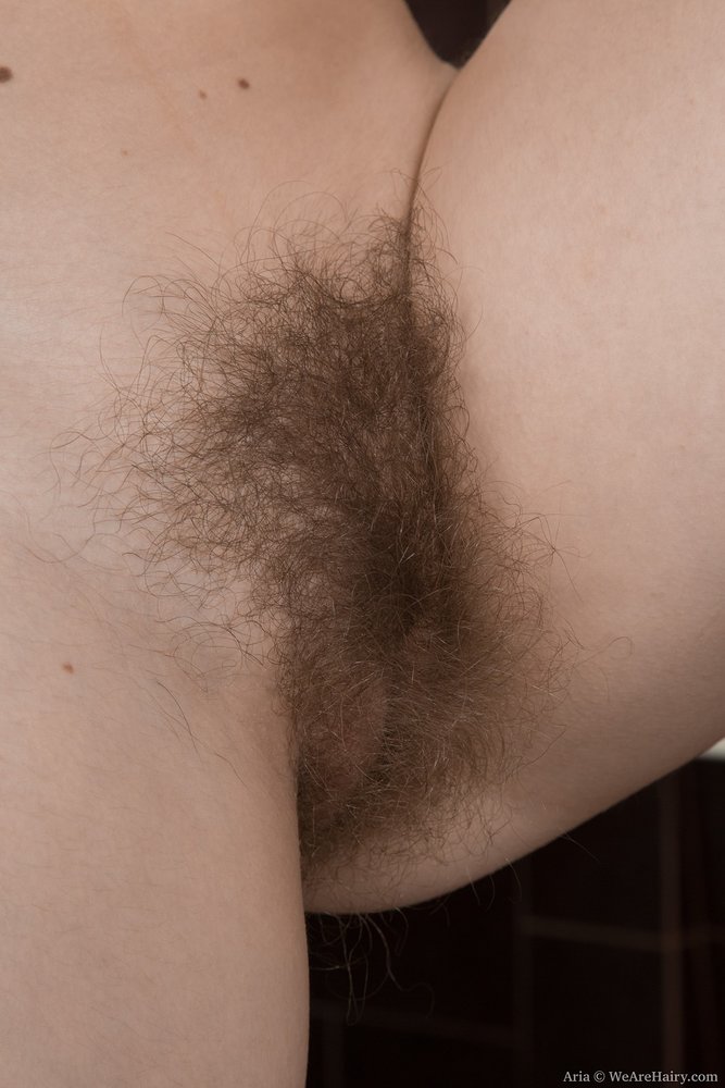 Pinterest Hairy Woman on 14444
