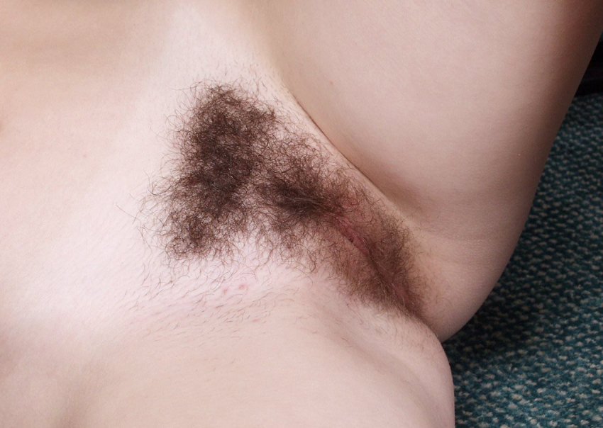 Pinterest Hairy Woman on 14446