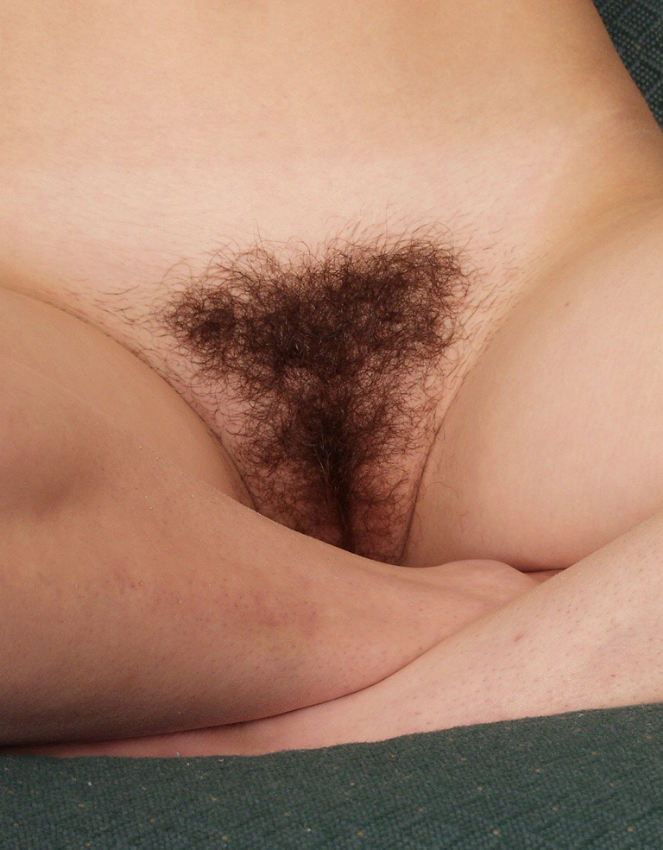 Pinterest Hairy Woman on 11500