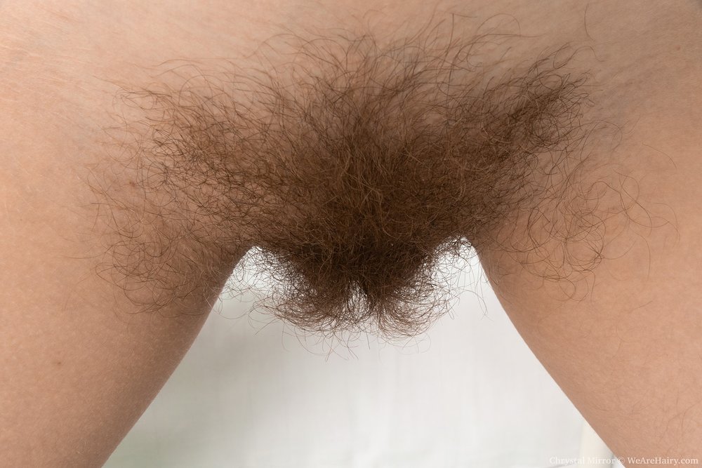 Pinterest Hairy Woman on 5944