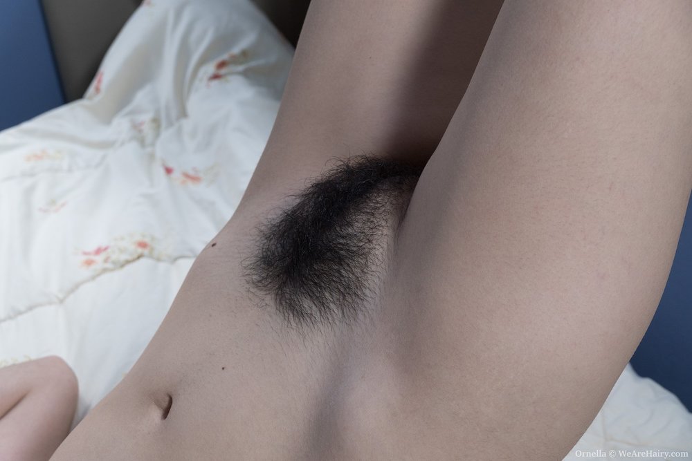 Pinterest Hairy Woman on 11610