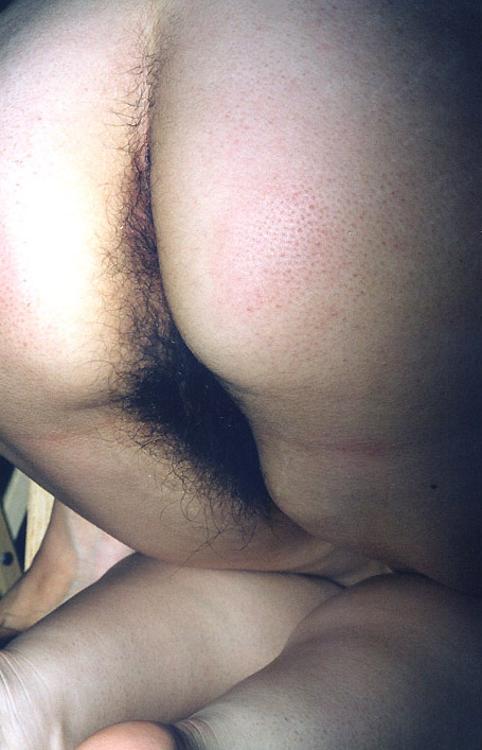 Pinterest Hairy Woman on 11285