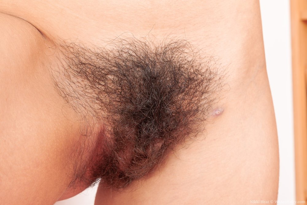 Pinterest Hairy Woman on 14508