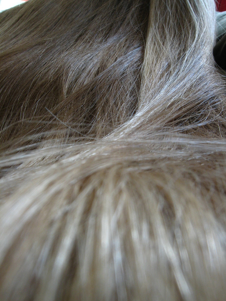 Pinterest Hairy Woman on 8352