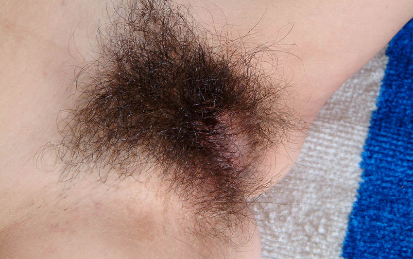 Pinterest Hairy Woman on 14414