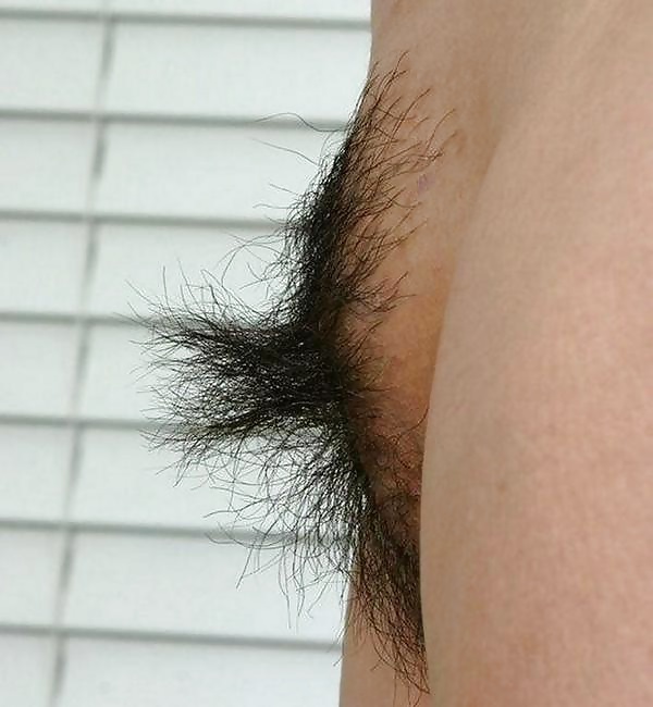 Pinterest Hairy Woman on 14943