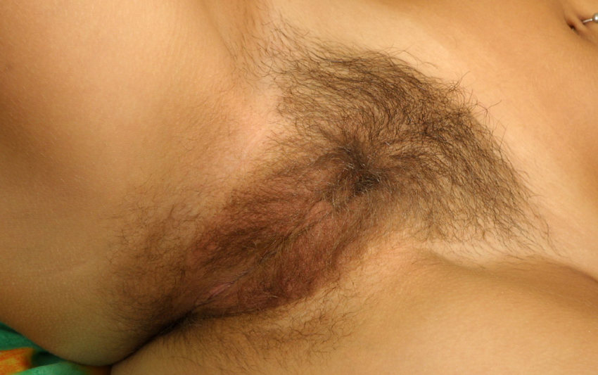 Pinterest Hairy Woman on 494