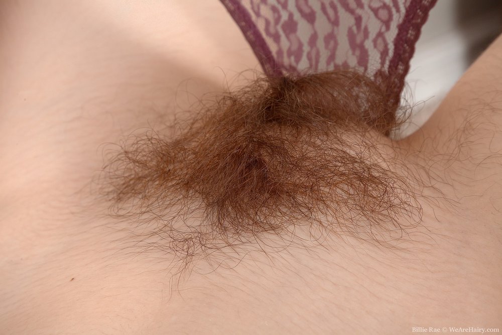 Pinterest Hairy Woman on 13522