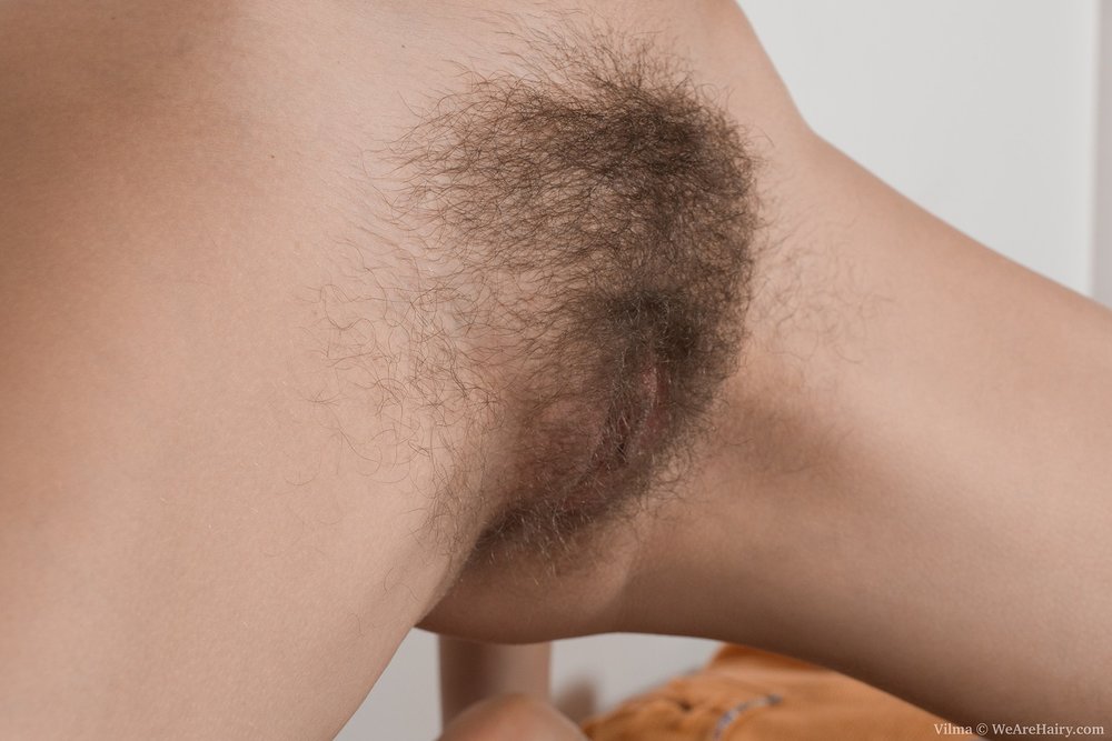 Pinterest Hairy Woman on 8303