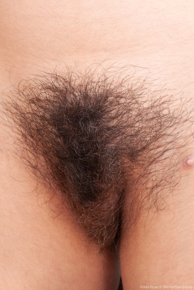 Pinterest Hairy Woman on 3784