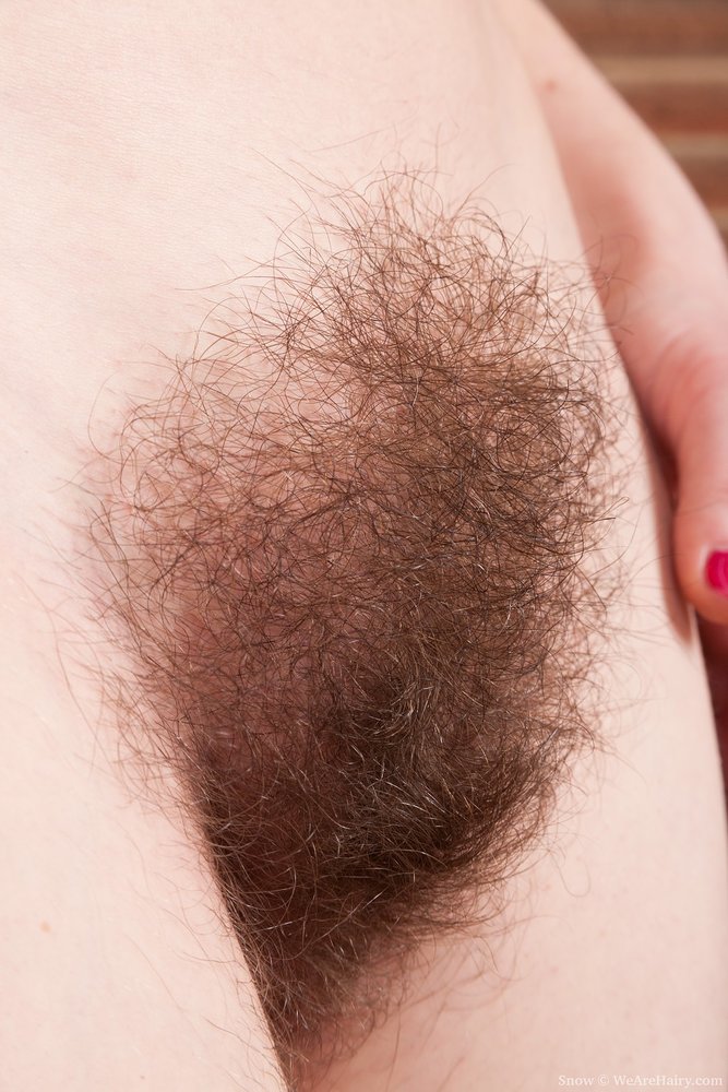 Pinterest Hairy Woman on 1639