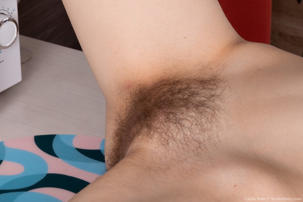 Pinterest Hairy Woman on 3474