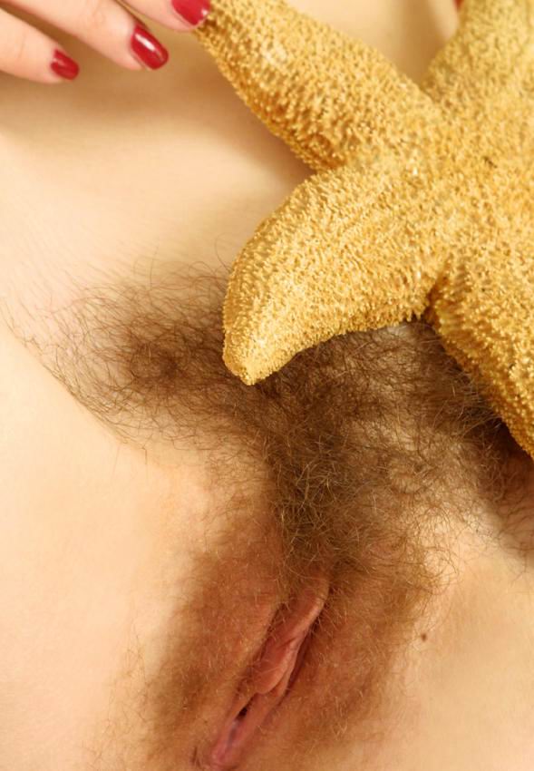 Pinterest Hairy Woman on 14541