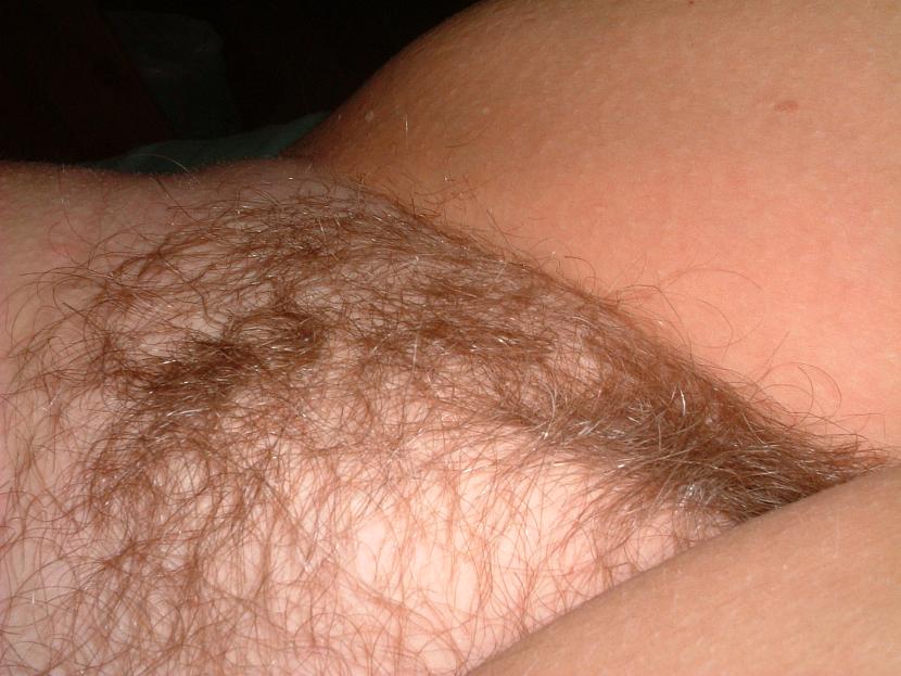 Pinterest Hairy Woman on 12998