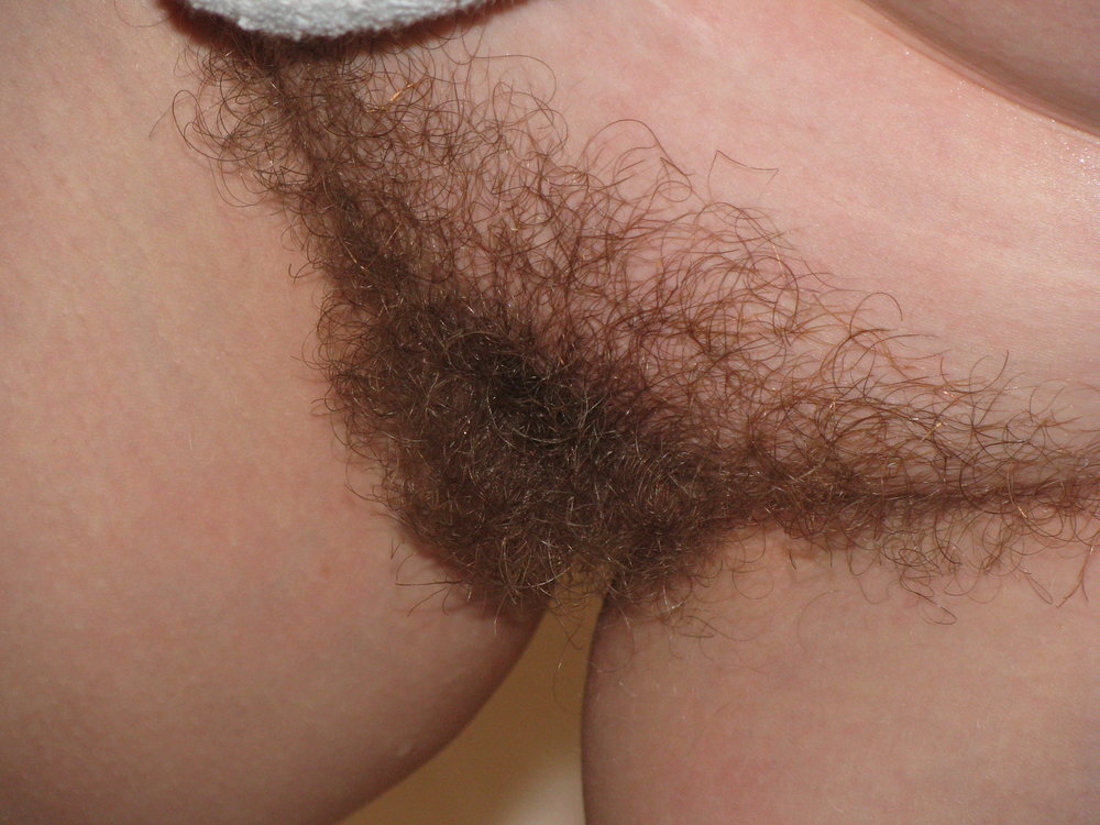 Pinterest Hairy Woman on 1376