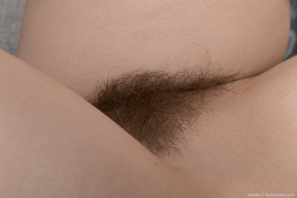Pinterest Hairy Woman on 13525
