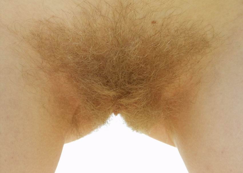 Pinterest Hairy Woman on 8883