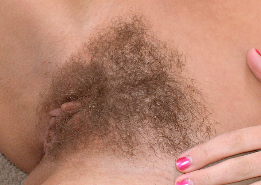 Pinterest Hairy Woman on 1539