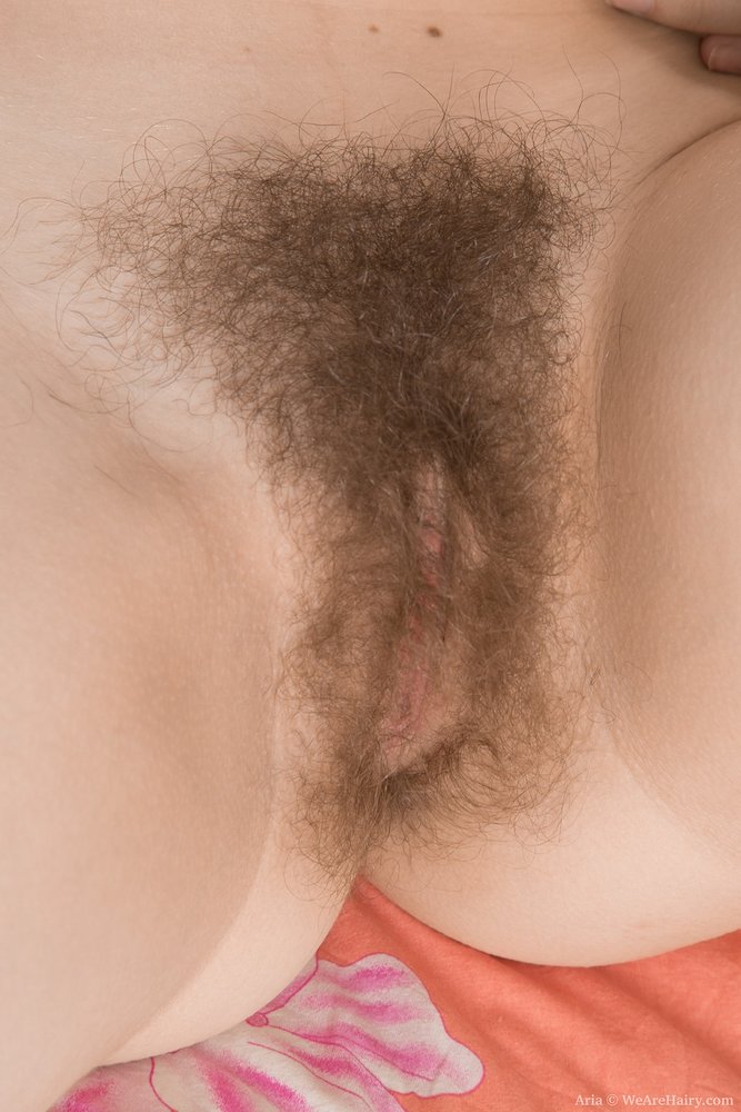 Pinterest Hairy Woman on 10413