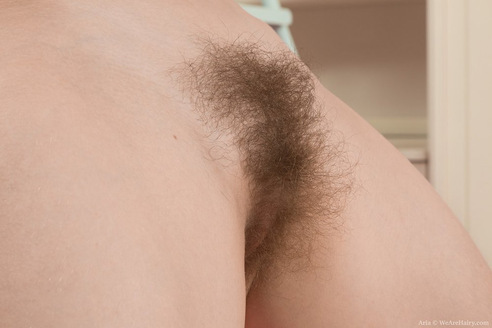 Pinterest Hairy Woman on 11082