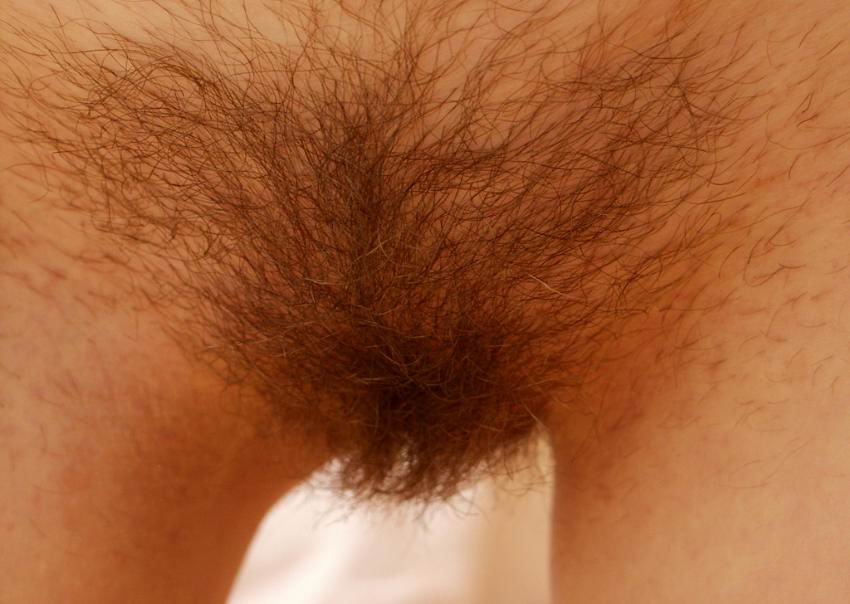 Pinterest Hairy Woman on 6375