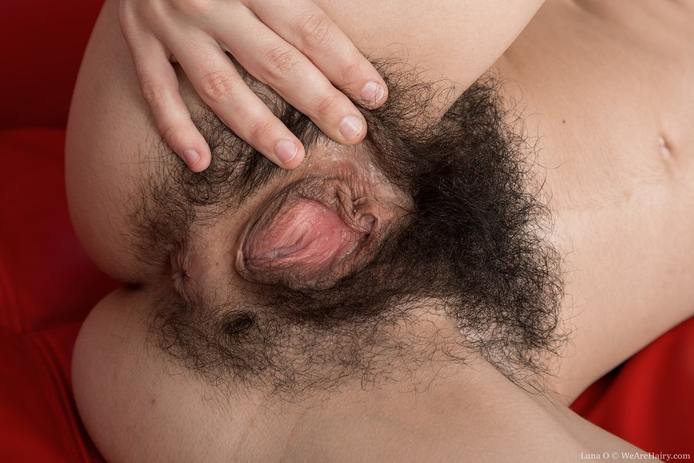 Pinterest Hairy Woman on 9318