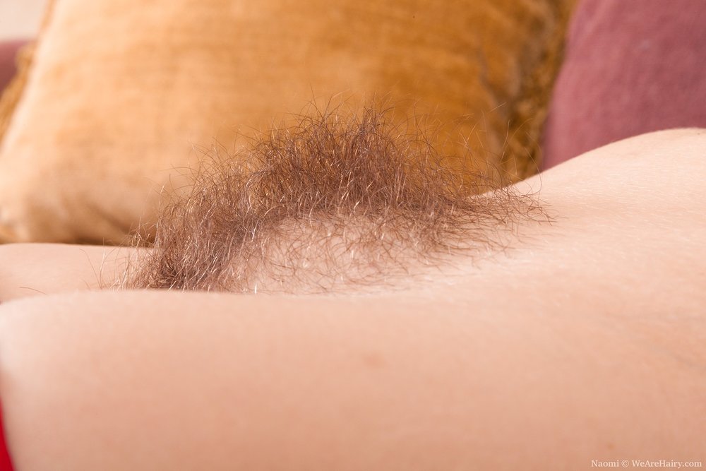 Pinterest Hairy Woman on 598
